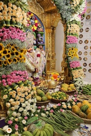 Sarangpur Temple Murti Darshan