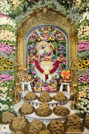Sarangpur Temple Murti Darshan