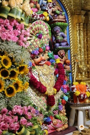 Sarangpur Temple Murti Darshan