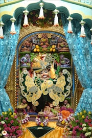 Sarangpur Temple Murti Darshan