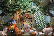 Sarangpur Temple Murti Darshan