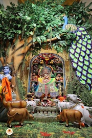 Sarangpur Temple Murti Darshan
