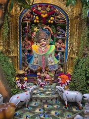 Sarangpur Temple Murti Darshan