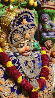 Sarangpur Temple Murti Darshan