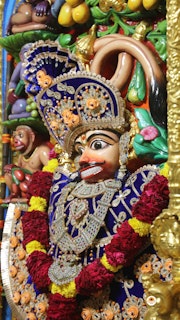 Sarangpur Temple Murti Darshan