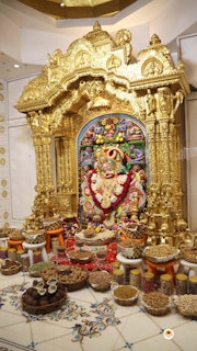 Sarangpur Temple Murti Darshan