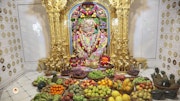 Sarangpur Temple Murti Darshan