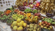 Sarangpur Temple Murti Darshan