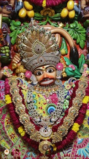 Sarangpur Temple Murti Darshan