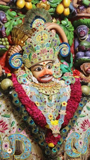 Sarangpur Temple Murti Darshan