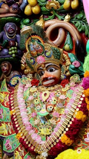 Sarangpur Temple Murti Darshan