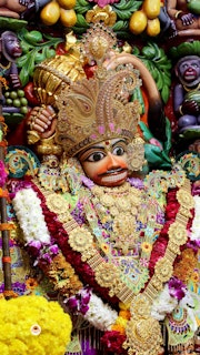 Sarangpur Temple Murti Darshan