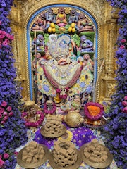 Sarangpur Temple Murti Darshan