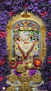 Sarangpur Temple Murti Darshan