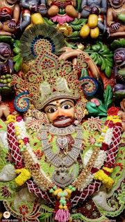 Sarangpur Temple Murti Darshan