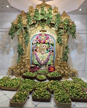 Sarangpur Temple Murti Darshan