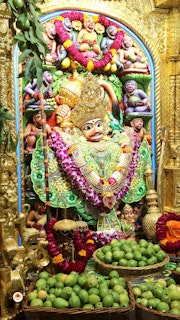 Sarangpur Temple Murti Darshan