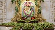 Sarangpur Temple Murti Darshan