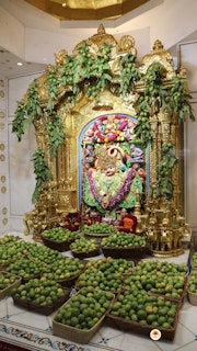 Sarangpur Temple Murti Darshan