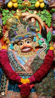 Sarangpur Temple Murti Darshan