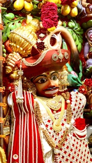 Sarangpur Temple Murti Darshan