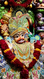 Sarangpur Temple Murti Darshan