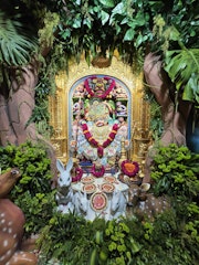 Sarangpur Temple Murti Darshan