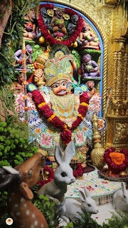 Sarangpur Temple Murti Darshan