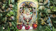 Sarangpur Temple Murti Darshan