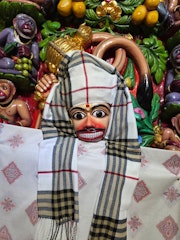 Sarangpur Temple Murti Darshan