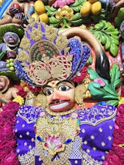 Sarangpur Temple Murti Darshan