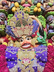 Sarangpur Temple Murti Darshan