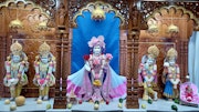 Stanmore Temple Murti Darshan