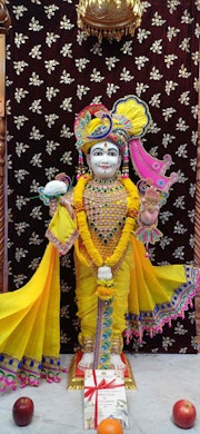 Stanmore Temple Murti Darshan