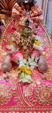 Stanmore Temple Murti Darshan