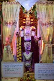 Vadtal Temple Murti Darshan