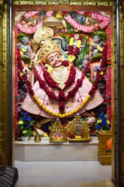 Vadtal Temple Murti Darshan