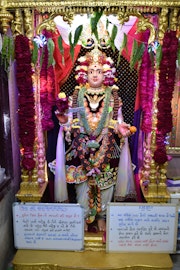 Vadtal Temple Murti Darshan