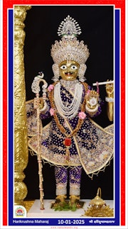 Vadtal Temple Murti Darshan