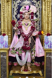 Vadtal Temple Murti Darshan