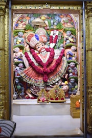 Vadtal Temple Murti Darshan