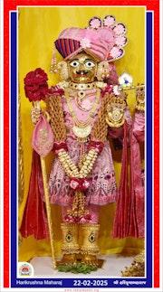 Vadtal Temple Murti Darshan