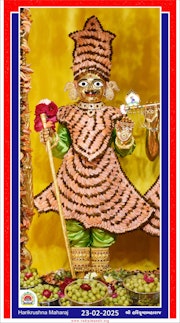 Vadtal Temple Murti Darshan