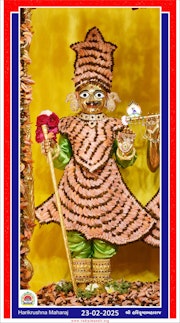 Vadtal Temple Murti Darshan