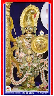 Vadtal Temple Murti Darshan