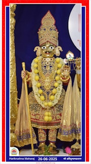 Vadtal Temple Murti Darshan