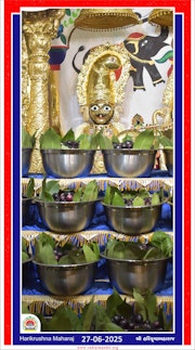 Vadtal Temple Murti Darshan