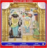 Vadtal Temple Murti Darshan
