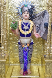 Vadtal Temple Murti Darshan