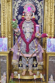 Vadtal Temple Murti Darshan